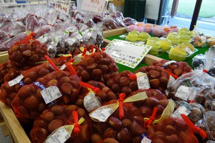 秋の味覚のクリやサツマイモがどっさり