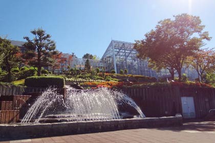 20日、「秋の保内公園まつり」が開かれる三条市保内公園