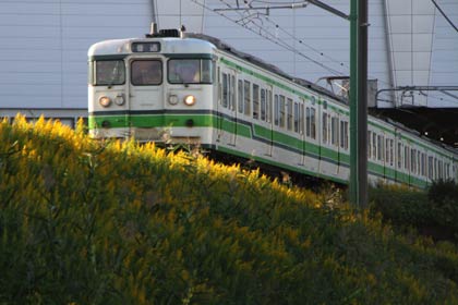 21日夕方、三条市須頃地内の弥彦線