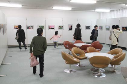 今年度始まった写真教室の展示会場