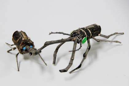 三条市シルバー人材センターの昆虫づくり教室で作る剪定廃材を使った昆虫