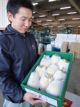 ル レクチエのギフト用梱包