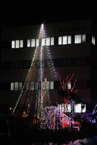 クリスマスイルミネーションの点灯を始めた県央研究所