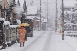 本格的な雪が降った11日朝の三条市