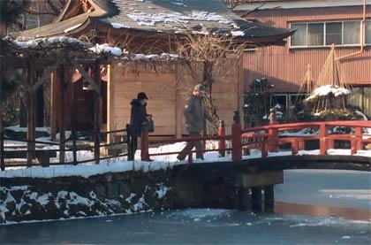 氷が張った八幡宮の池