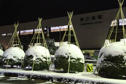 8日深夜の燕三条駅前、植木もシュガーパウダーまぶしたていどの積雪