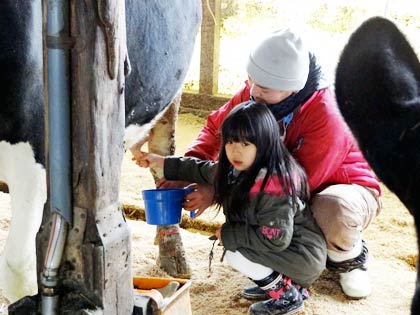 JAにいがた南蒲青年部いちい支部が開いた「親子で搾乳体験」