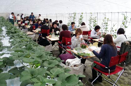 23日朝、内山農園で初めて冬に開かれた燕三条「畑の朝カフェ」