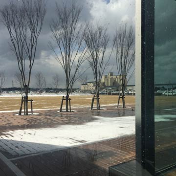 6日の燕市役所から外のようす