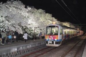 分水駅に到着した臨時列車「分水夜桜号」は県内ではめったにお目にかかれないジョイフルトレイン「きららんうえつ」の4両編成