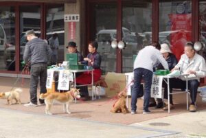 17日午後、三条市厚生福祉会館で行われた狂犬病予防注射
