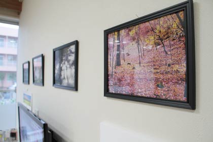 皮切りで開かれている山口良彦さんの写真展