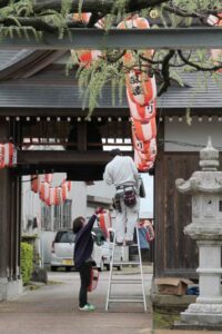 県指定天然記念物「八王寺の白藤」のある燕市・安了寺でちょうちんの設置作業