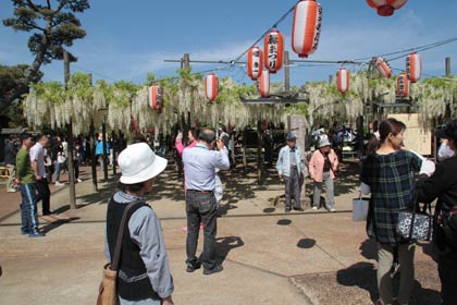 祭りのようなにぎわいの境内