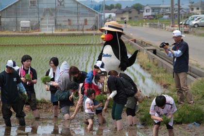 田植えを監視？するつば九郎