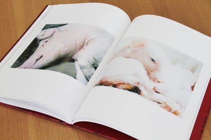 写真集『人』に収録された養豚場の写真
