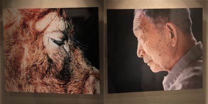 祖父の横顔をデュロックの横顔に対比させて撮り、会場では向かい合わせに展示
