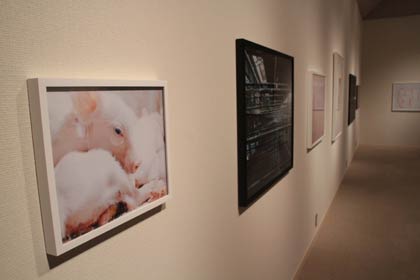 写真集に収録した作品