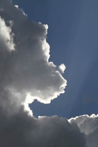 青空には入道雲と雨雲が同居
