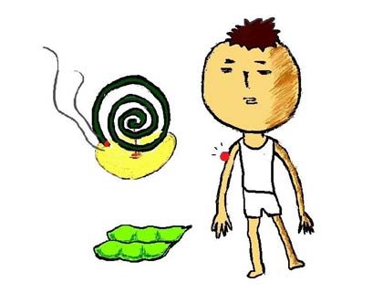 蚊　蚊取り線香　枝豆