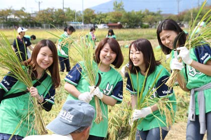 稲刈り体験に大満足のツアー客