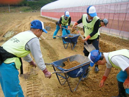 東日本大震災の被災地、宮城県南三陸町で農業支援のボランティアを行う三条信用金庫職員