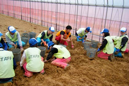 地道な作業が進む