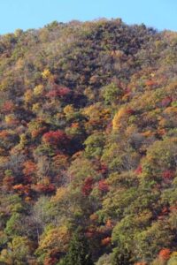 三条市下田地区の袴腰山の紅葉