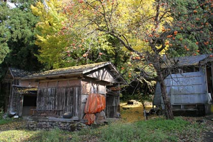 まるで絵画のような風景