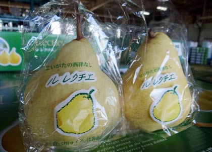 大島選果場で出荷が始まった「ル　レクチエ」