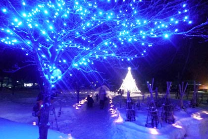 「いい湯らてい」が「しただ郷雪と光のページェント2014」と題して行っているモミの木のイルミネーション