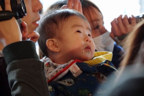 子どもは大泣き