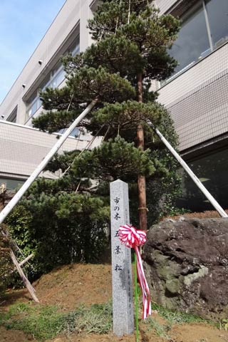 福島県南相馬市小高区から避難している佐竹紀さんら有志が善意を出し合って三条市総合福祉センター前のゴヨウマツのそばに建てた石柱