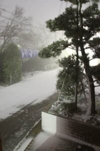 11日午前2時ころ燕市内で