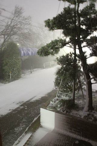 11日午前2時ころ燕市内で