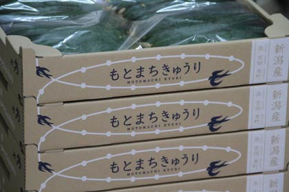  ＝オシャレな段ボールケースのデザイン、上下のケースのデザインがつながる
