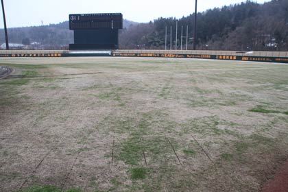 スクールの会場に使うグラウンドの芝生に覆われた外野
