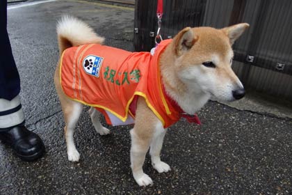 「希名呼」もキャンペーンに参加