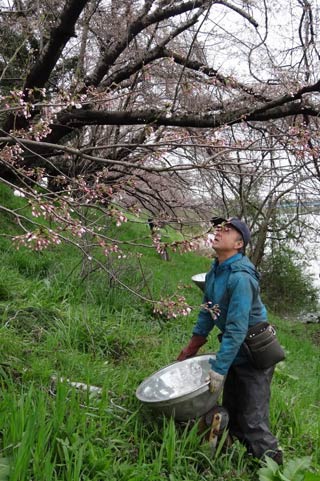 投光器を設置するメンバー