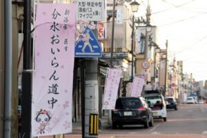 おいらん道中が進む地蔵堂本町通りに並んだ分水おいらん道中ののぼり旗