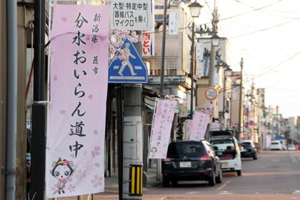 おいらん道中が進む地蔵堂本町通りに並んだ分水おいらん道中ののぼり旗