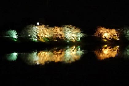  中ノ口川の対岸から見たライトアップ