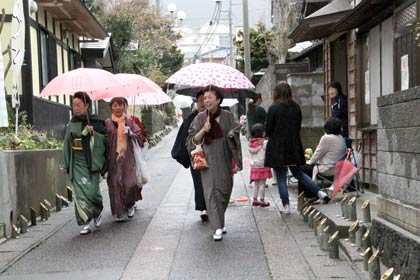 弥彦参宮通まつりが開かれている参宮通を傘を差して歩く芸妓