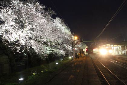 分水駅のサクラ並木のライトアップ