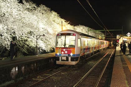 ジョイフルトレイン「きらきらうえつ」とライトアップされた夜桜