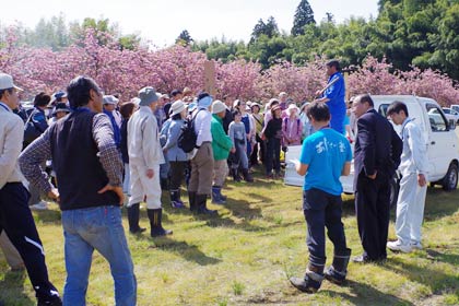 昨年のあじさい塾ので筍掘り体験会のようす