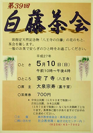 5月10日に安了寺で開かれる第39回白藤茶会