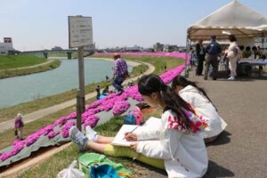シバザクラが咲く五十嵐川の右岸堤防をメーン会場に開かれた第1回五十嵐川芝桜まつり