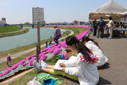シバザクラが咲く五十嵐川の右岸堤防をメーン会場に開かれた第1回五十嵐川芝桜まつり