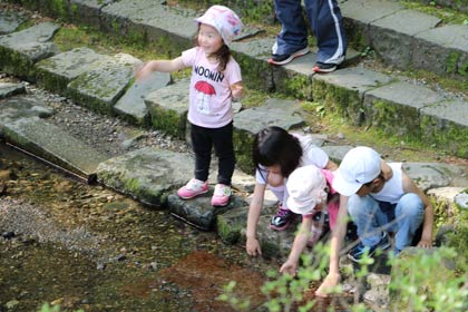 弥彦神社境内の小川で水遊びする子どもたち